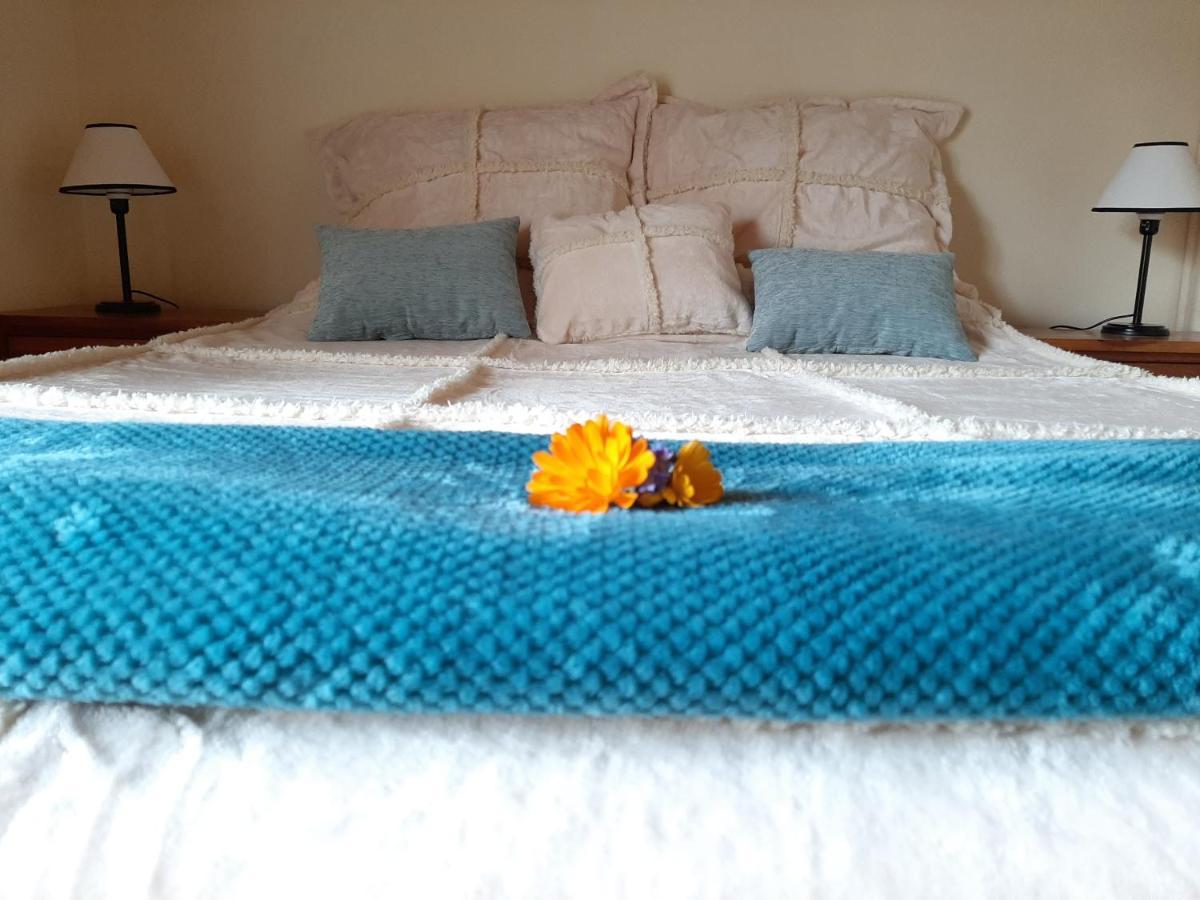 Chocho - Calida Casita Centrica Hasta 4 Pax Holiday home San Carlos de Bariloche